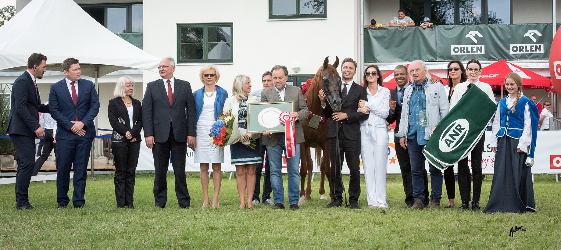 Palatina (QR Marc x Palmeta) 2016 Polish National Gold Champion Mare 